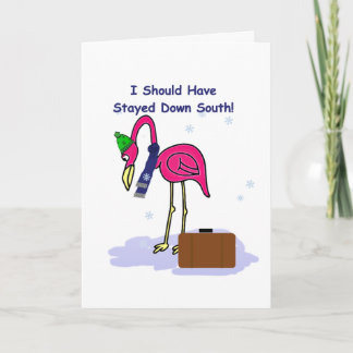 Funny Should Have Stayed South Christmas Card