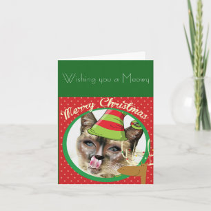 Funny Siamese cat Christmas card