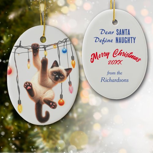 Funny Siamese Cat Define Naughty Christmas Ceramic Ornament