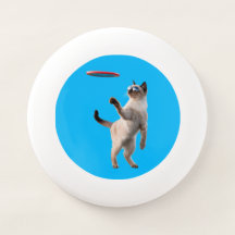 Funny Siamese Cat Disc Golfer