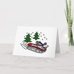 Funny Siberian Husky Dog Riding on Sled Holiday Card