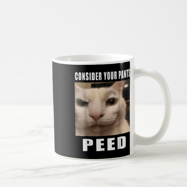 Funny Silly Cat Memes By 919 Designs Consider Your Coffee Mug (Right)