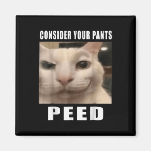 Funny Silly Cat Memes By 919 Designs Consider Your Magnet