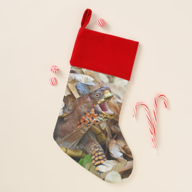 Funny Singing Box Turtle Christmas Stocking (Front)