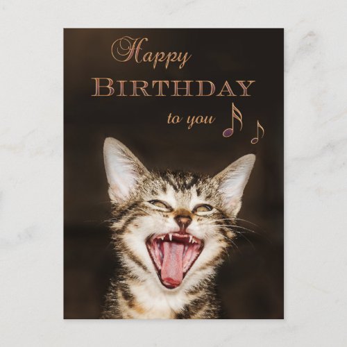Funny Singing Cat Birthday Postcard
