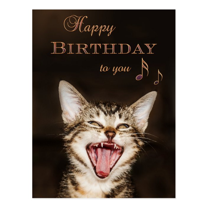 Funny Singing Cat Birthday Postcard