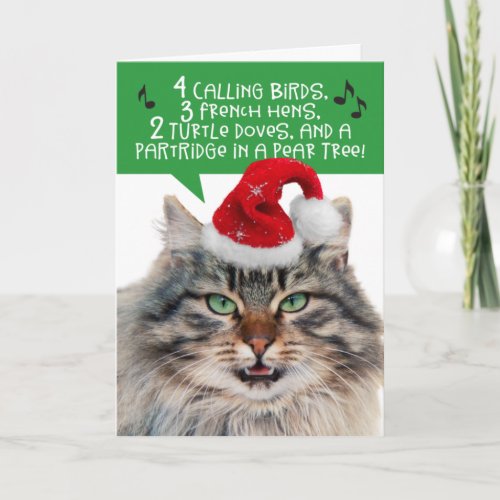 Funny Singing Cat _ The 12 Days Of Christmas Holiday Card