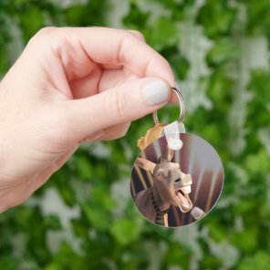 Funny Singing Donkey Farm Animal Keychain