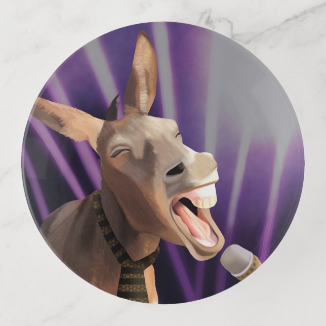 Funny Singing Donkey Farm Animal Purple Background Trinket Tray (Front)