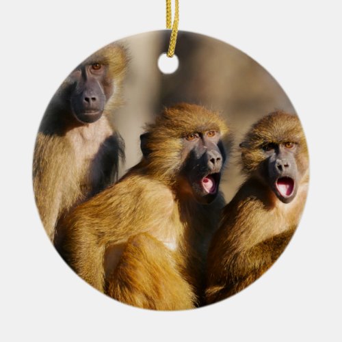 Funny Singing Monkeys _ Barbary Macaques Ceramic Ornament