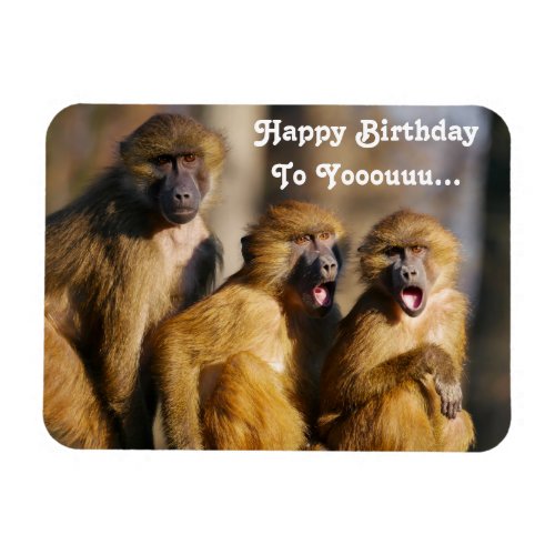 Funny Singing Monkeys _ Barbary Macaques Magnet
