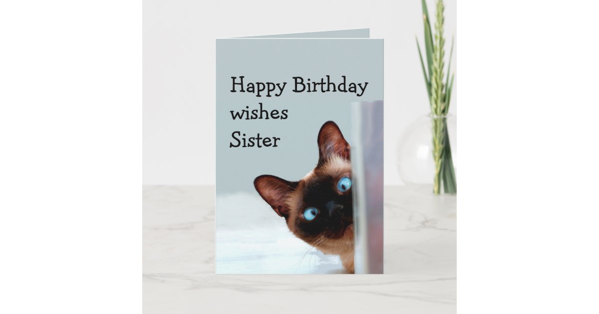 Funny Sister Birthday Wishes Siamese Cat Animal Card Zazzle Com