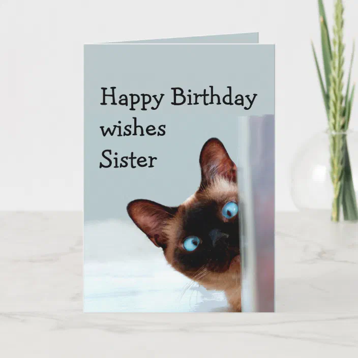 Funny Sister Birthday Wishes Siamese Cat Animal Card Zazzle Com