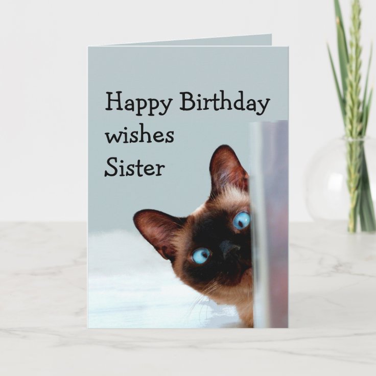 Funny Sister Birthday Wishes Siamese Cat Animal Card | Zazzle