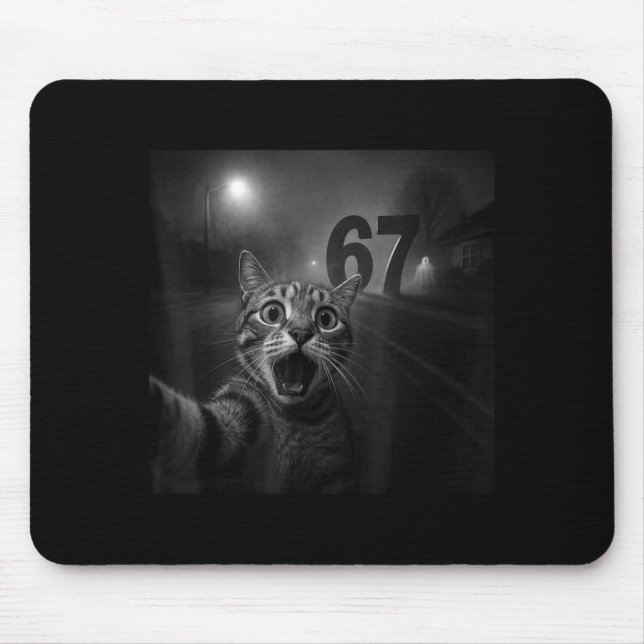 Funny Six Seven 6 7 Meme Gen Z Alpha Slang Cat Sel Mouse Pad (Front)