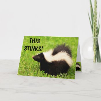 Funny Skunk Feel Better Card by Therupieshop at Zazzle