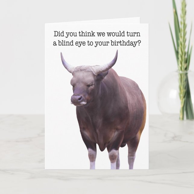 Funny Sleeping Bull Birthday Card (Front)