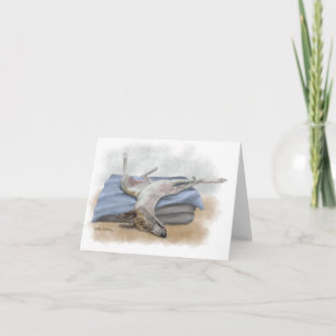Funny Sleeping Greyhound Cartoon Letterpress Thank You Card