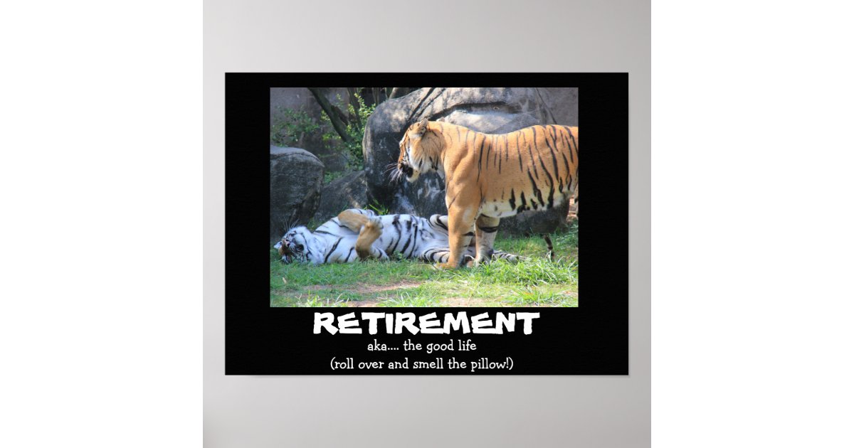 Funny Sleeping Tiger (16x12), RETIREMENT Poster | Zazzle.com