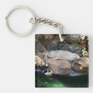 Funny Sleeping White Sea Lion On Rocks, Keychain