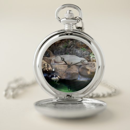 Funny Sleeping White Sea Lion  Poket Watch