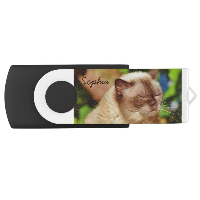 Funny Sleepy Cat&For Kitten Lovers Flash Drive (Front)