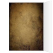 Funny Sleepy Owl (Inside (Left))