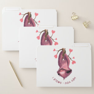 Funny Sloth File Folders