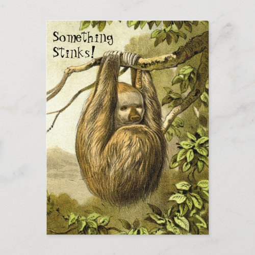 Funny Sloth Smelling Something That Stinks Postcard