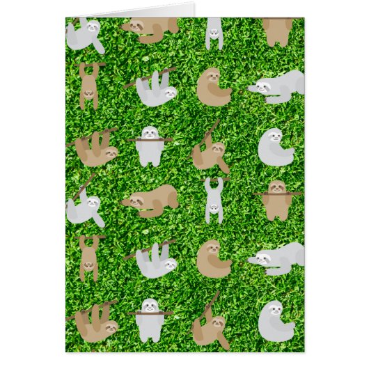 funny sloths cards (Front)
