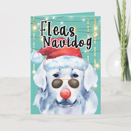 Funny Slovak Cuvak dog in lights fleas navidog Card