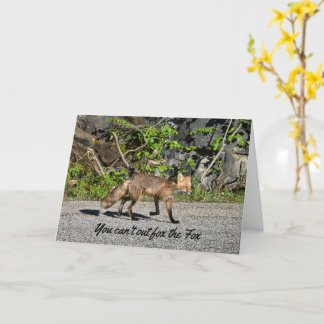 Funny Sly Fox Birthday Card