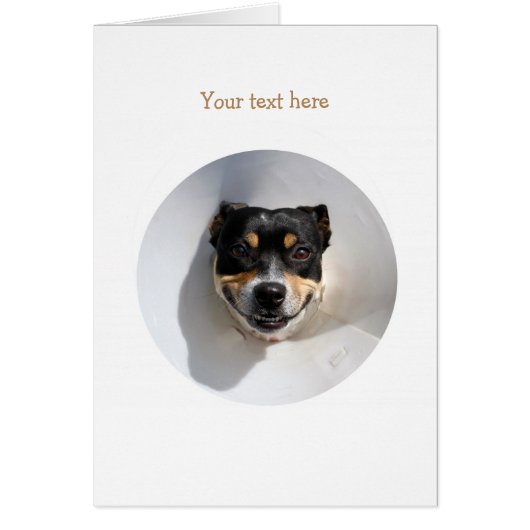 Funny smiling dog cards (Front)