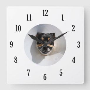 Funny smiling dog clock