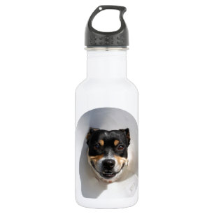Funny smiling dog stainless steel water bottle