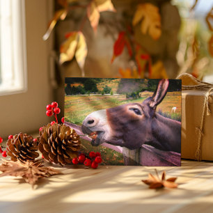 Funny Smiling Donkey Country Farmhouse Photo Postcard
