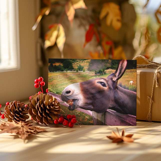 Funny Smiling Donkey Country Farmhouse Photo Postcard (Creator Uploaded)