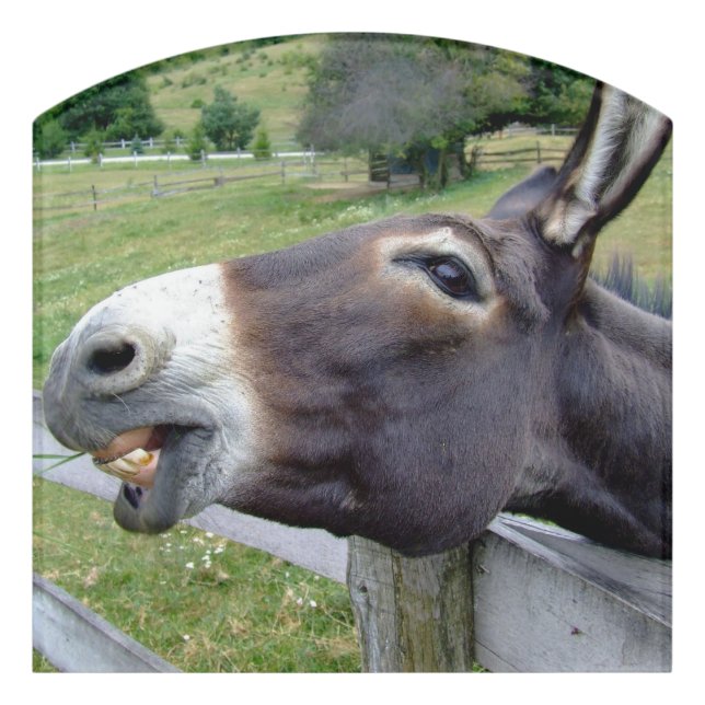 Funny Smiling Donkey Photo Farmhouse Welcome Door Sign (Contour Front)