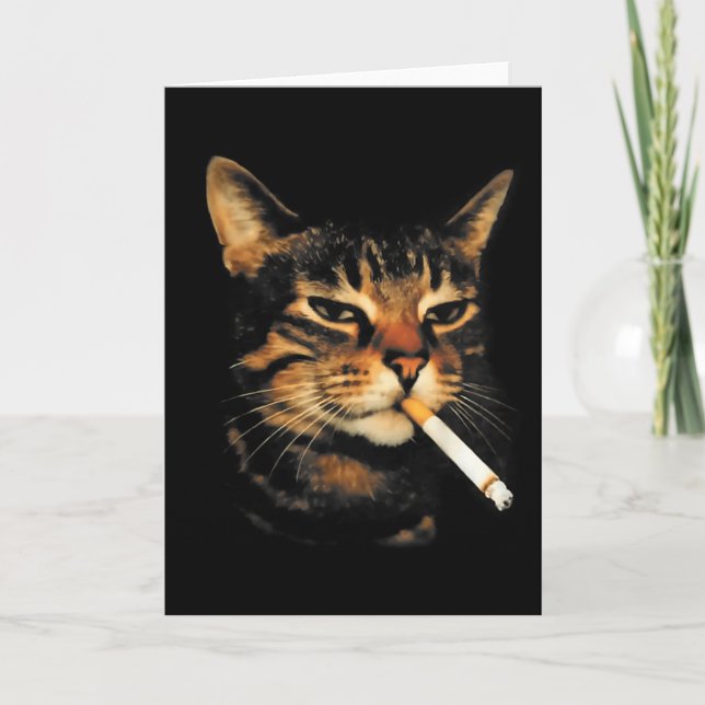 Funny Smoking Cat Cigarette Kitten Meme Stupid Bra Card (Front)