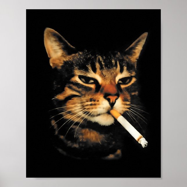 Funny Smoking Cat Cigarette Kitten Meme Stupid Bra Poster (Front)