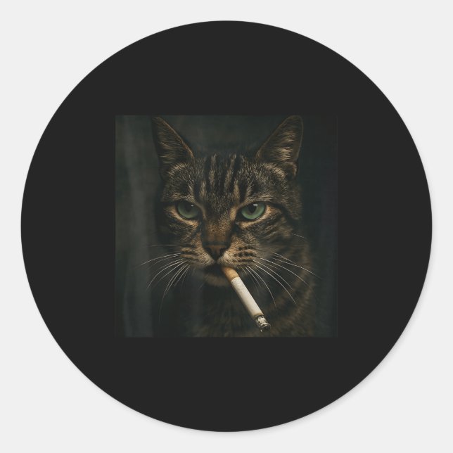 Funny Smoking Cat, Cigarette Kitty Gen Z Meme, Cat Classic Round Sticker (Front)