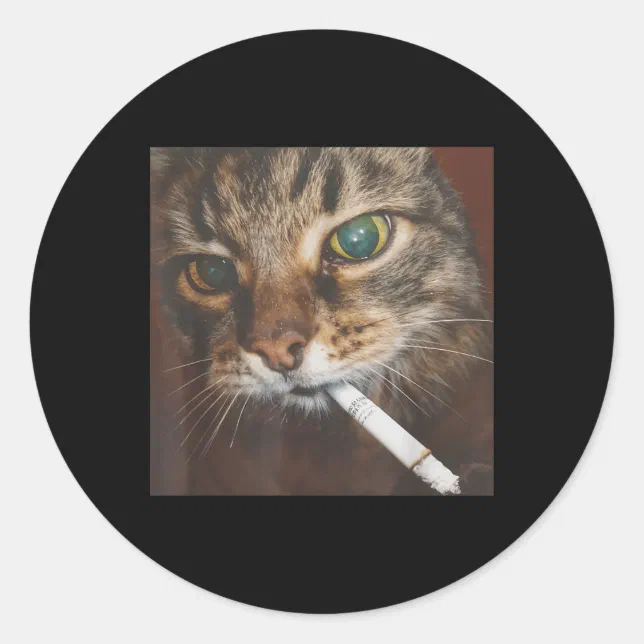 cigarette hub TOBACCO HUB - Updated July 2026 - 21 Photos - 4503 Jefferson Davis Hwy,  Fredericksburg, Virginia - Tobacco Shops - Phone Number