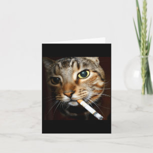 Funny smoking cat meme dark humor sarcastic cat ar card