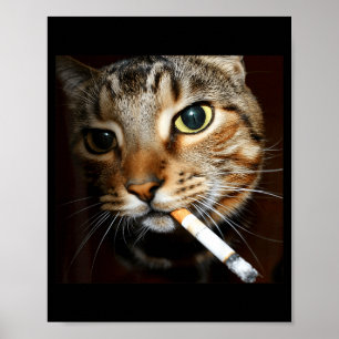 Funny Smoking Cat Meme Dark Humor Sarcastic Cat Ar Poster