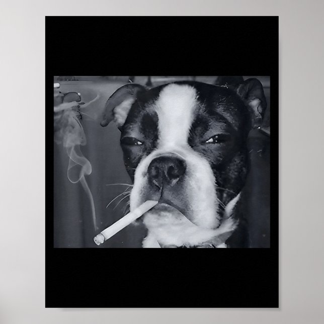 Funny Smoking Dog Meme Cigarette Gen Z Meme Dog Lo Poster (Front)