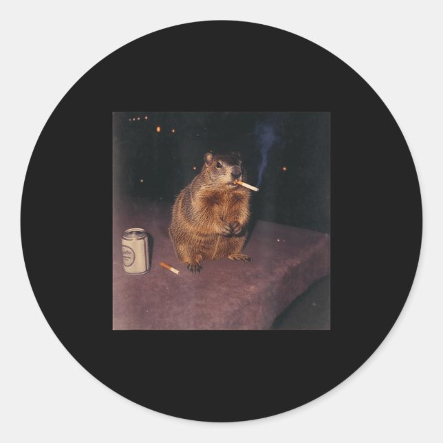 Funny Smoking Groundhog Cigarette Gen Z Retro Meme Classic Round Sticker (Front)