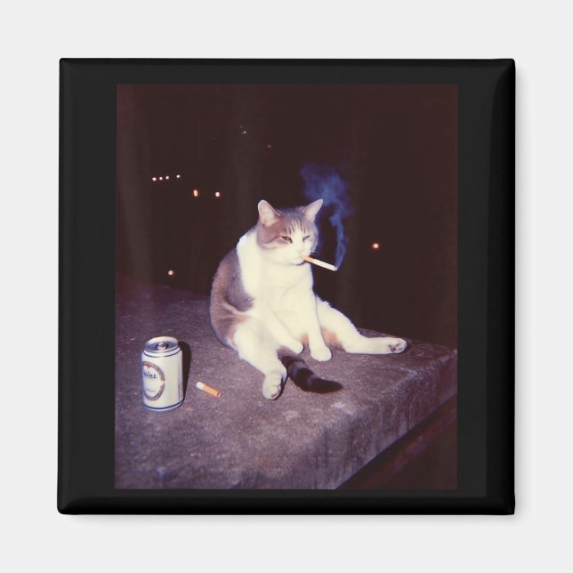 Funny Smoking Meme Cigarette Kitten Brainrot Silly Magnet (Front)