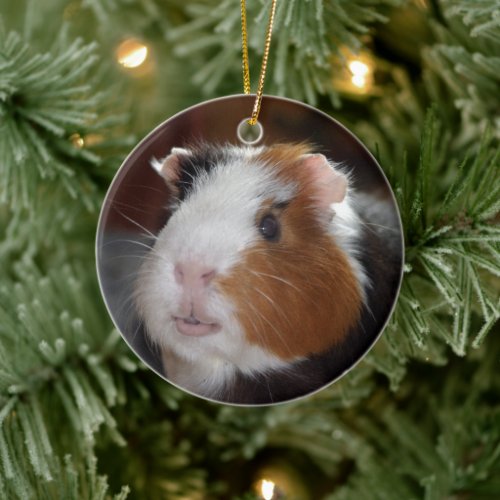 Funny Smooth Tricolor Guinea Pig Face Ceramic Ornament