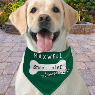 Funny Snack Thief Extraordinaire Dog Name Green Pet Bandana Collar