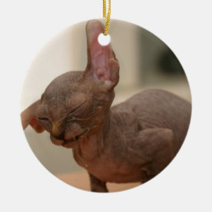 Funny sneezing sphynx kitten ceramic ornament